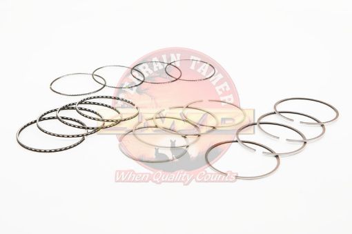 Ring Set Piston 1.00 2L
