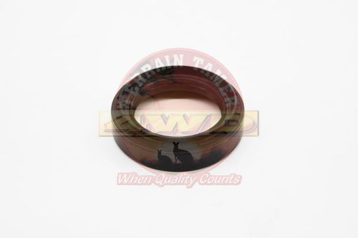 Seal Oil Transfer Case Rear
