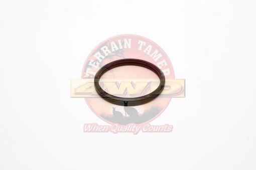 Thermostat O-Ring