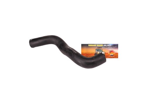 Hose Radiator Lower