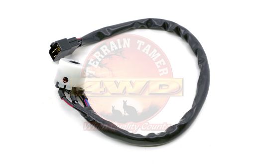 Switch Ignition