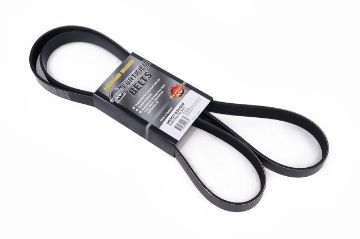 T/T Fortified Fan & Alternator Belt