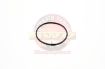 O Ring Injector Pump Mount