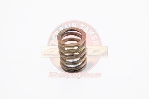 Valve Spring